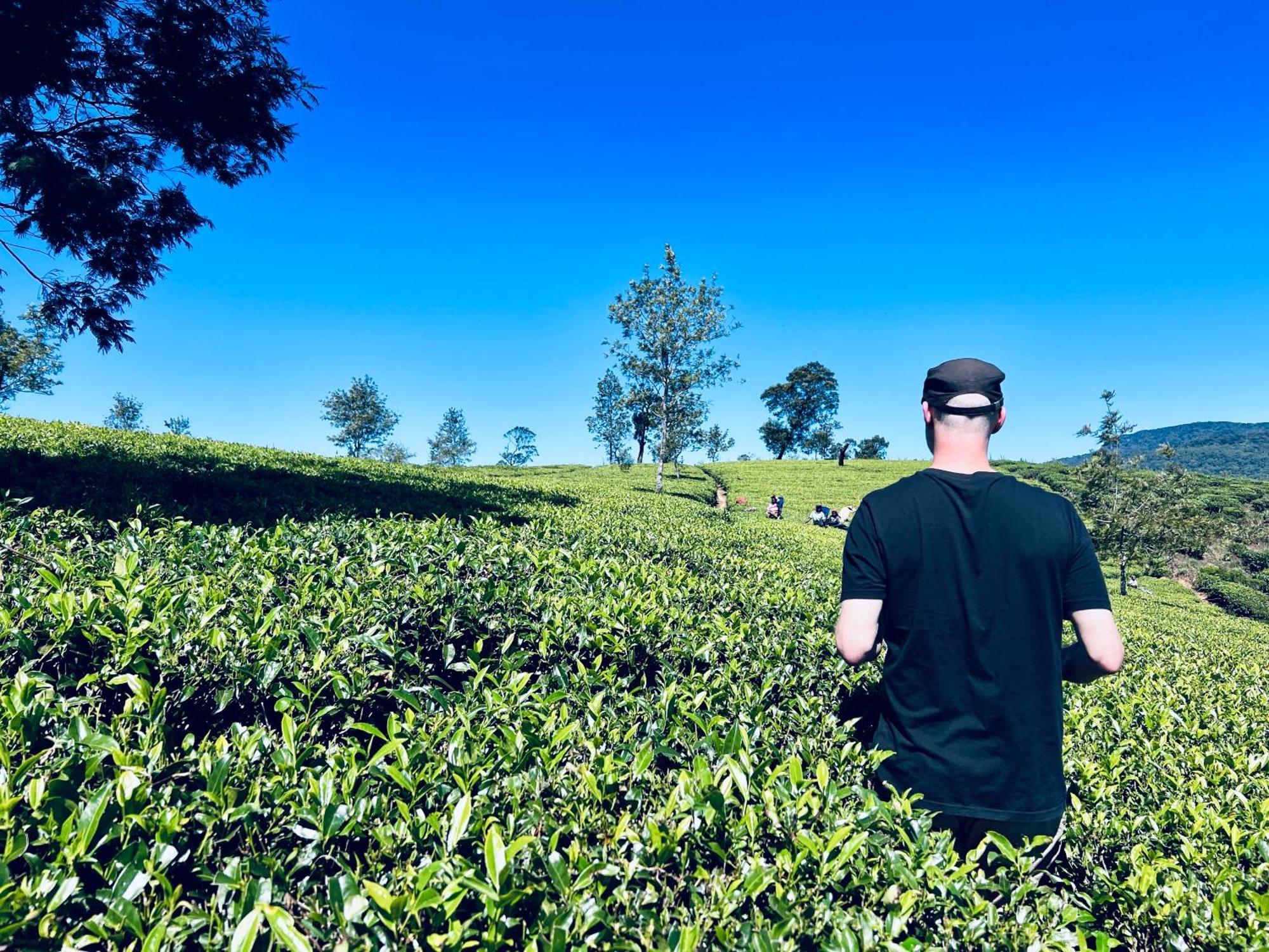 Rustique House Dbl Daire Nuwara Eliya Dış mekan fotoğraf